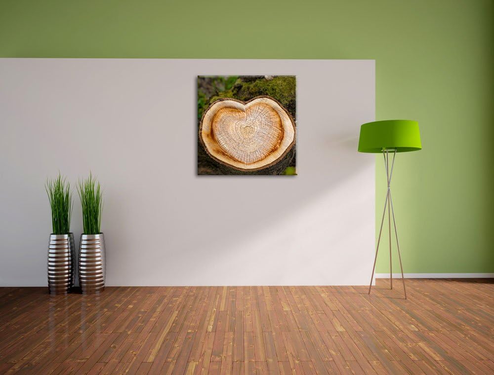Pixxprint Jahresringe am Baumstamm als Leinwandbild Quadratisch/Grösse: 70x70 / Wandbild/Kunstdruck/
