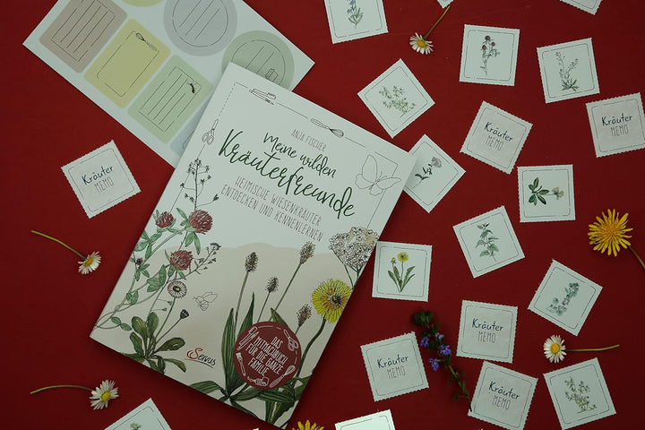 Meine wilden Kräuterfreunde: Heimische Wiesenkräuter entdecken und kennenlernen: Das Mitmachbuch für