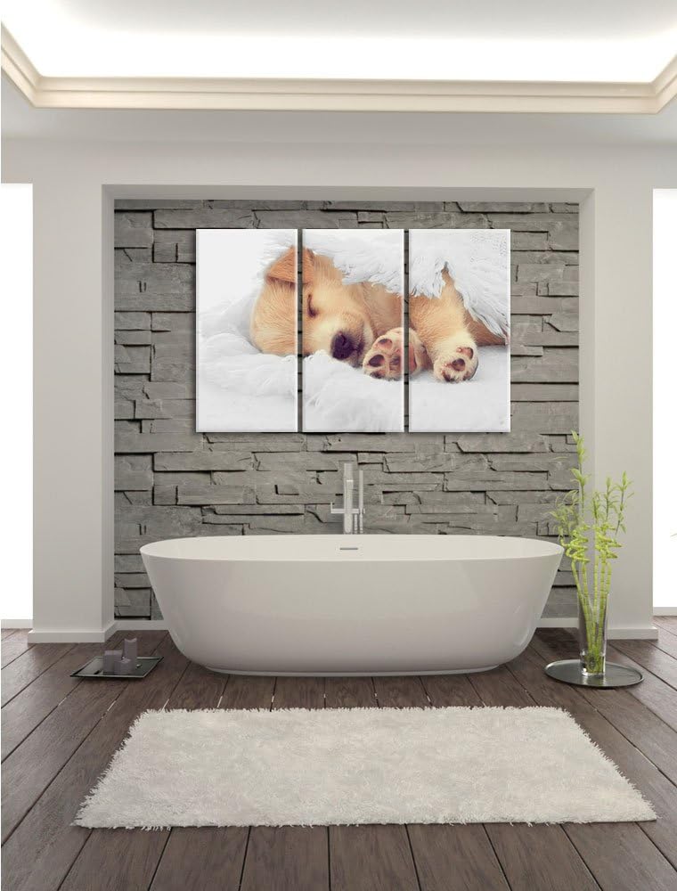 Pixxprint Kleiner schlafender Welpe als Leinwandbild/Grösse: 3 Teilig (120x80) cm/Wandbild/Kunstdruc
