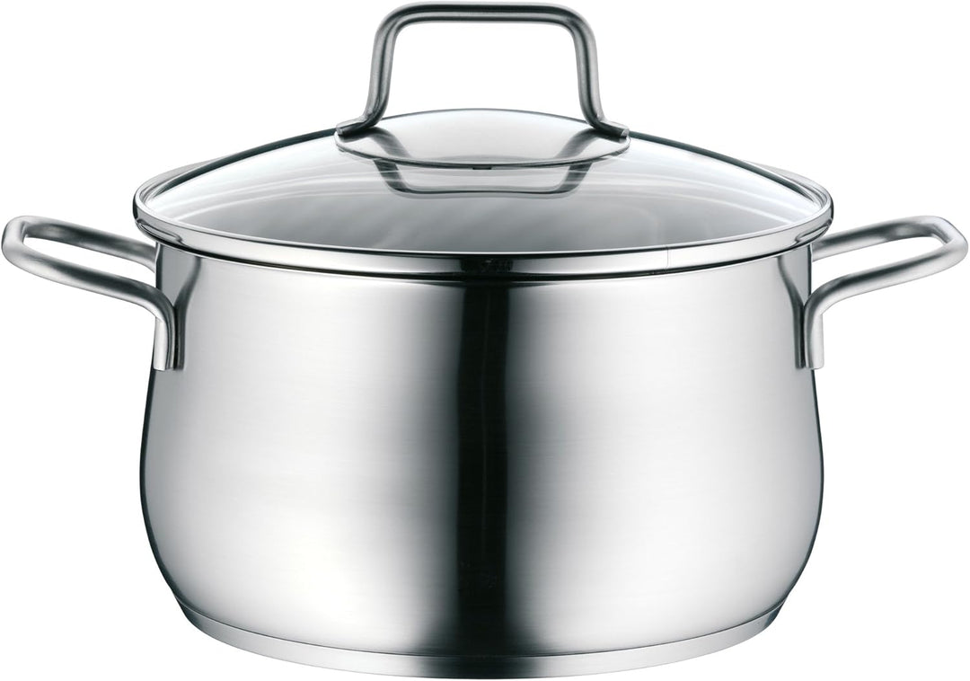 WMF Brilliant Kochtopf gross 20cm, Glasdeckel, Fleischtopf Induktion 3,7l, Cromargan Edelstahl satin