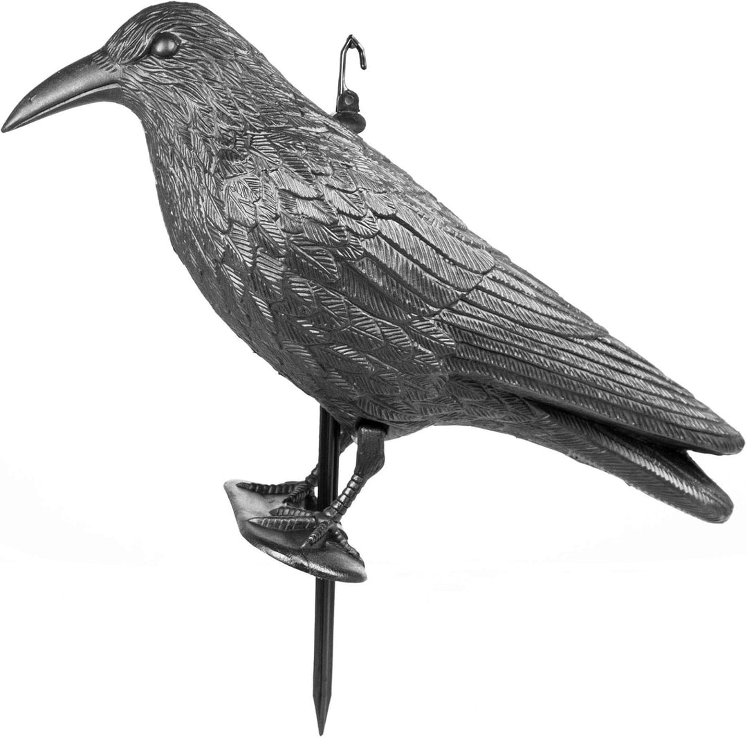 mgc24 Taubenschreck Rabe Lummy - Schwarze Vogelattrappe aus Kunststoff zur Abwehr von Tauben, Möwen,