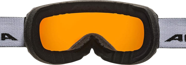 ALPINA Unisex - Erwachsene Skibrille Skibrille (1er Pack) Einheitsgrösse black matt, Einheitsgrösse