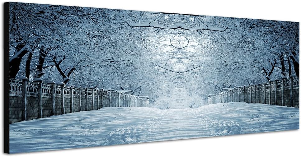 Paul Sinus Art Panoramabild auf Leinwand und Keilrahmen 150x50cm Winterlandschaft Bäume Weg Baumtunn
