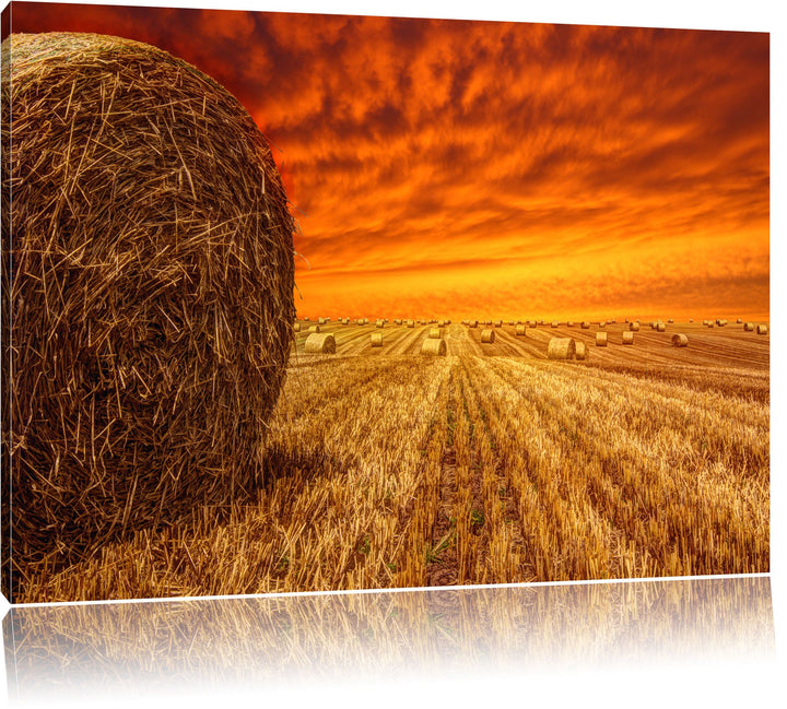 Feld im Sonnenuntergang Format: 100x70 auf Leinwand, XXL riesige Bilder fertig gerahmt mit Keilrahme