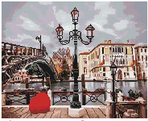 Diamond Vollbedeckung mit Holzrahmen Painting Set Bild 40 x 50 Diamant Malerei Stickerei Handarbeit