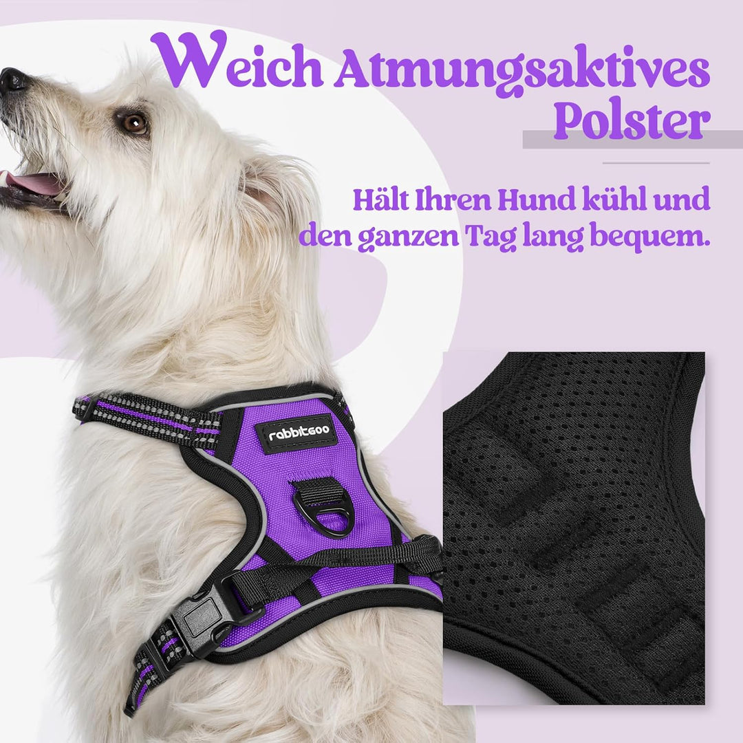 rabbitgoo Hundegeschirr Kleine Hunde, Anti Zug Geschirr mit Kontrolle, No Pull Verstellbar Hundegesc