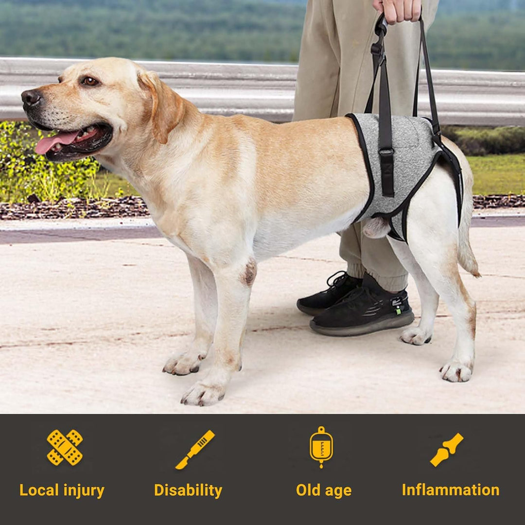 Tragehilfe Hund Gross, Tragehilfe Hund Hinterbein s, Dog Back Leg Support, Dog Carrying Aid, Verstel