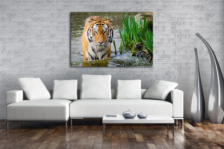deyoli anmutiger Tiger im Wasser Format: 80x60 als Leinwandbild, Motiv fertig gerahmt auf Echtholzra
