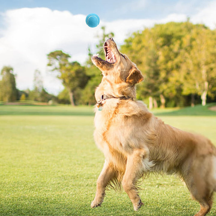 Tebery Tennisbälle für Fortgeschrittene, für Anfänger, Übungsbälle für Haustiere, Hunde, mit Netztas