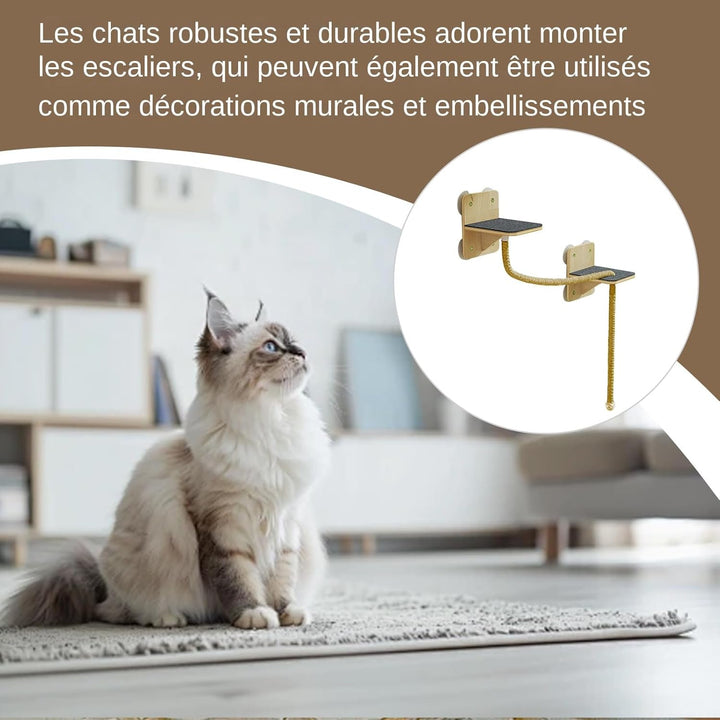 Wandregal für Katzen – Kletterwand für den Innenbereich mit Kratzbrett, Treppen und Spielzeug in Tur