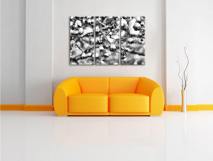 Pixxprint Vogelbeeren mit Schnee bedeckt als Leinwandbild/Grösse: 3 Teilig (120x80) cm/Wandbild/Kuns
