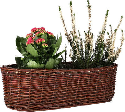 KOTARBAU® 2er Set Übertopf aus Weide Flechtwaren Blumentopf Oval für Blumen Pflanzen Naturkorb 40 cm