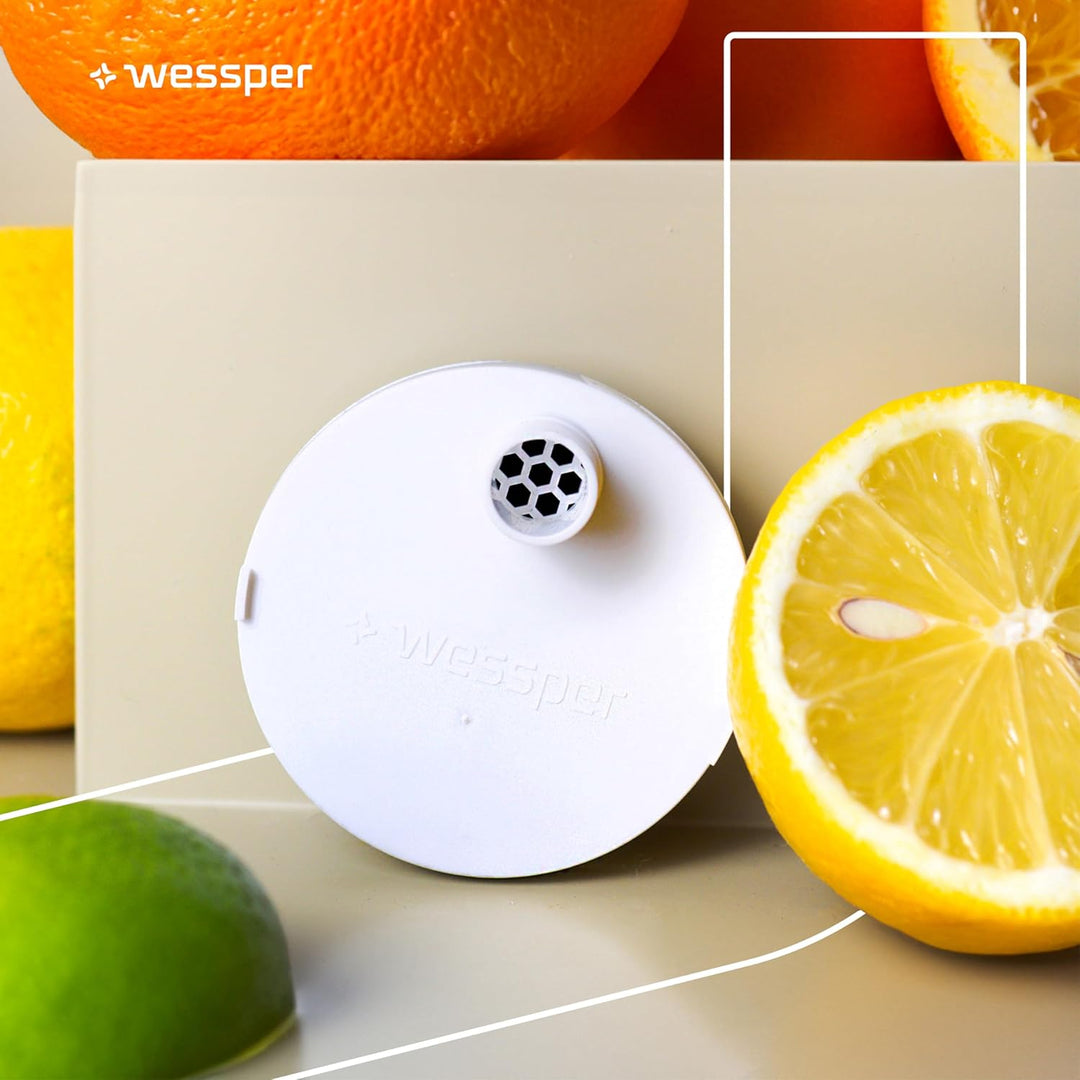 Wessper Wasserfilter für wasserflasche, Disc für Trinkflasche aus Tritan hergestellt aus einem paten