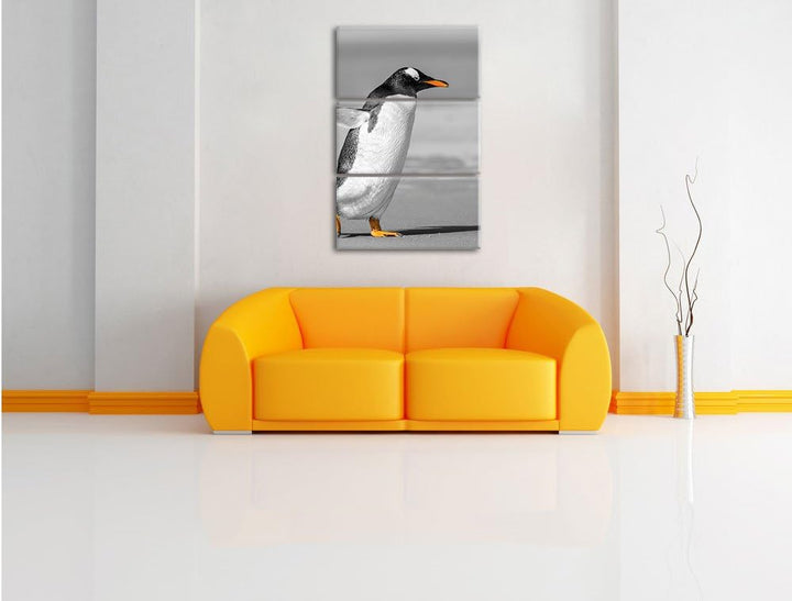 watschelnder Pinguin am Strand schwarz/weiss 3-Teiler Leinwandbild 120x80 Bild auf Leinwand