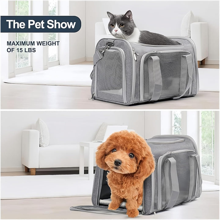 Transporttasche Katze Hund Gross Tragbare Haustiertasche für draussen Faltbar atmungsaktiv Grosse Ka