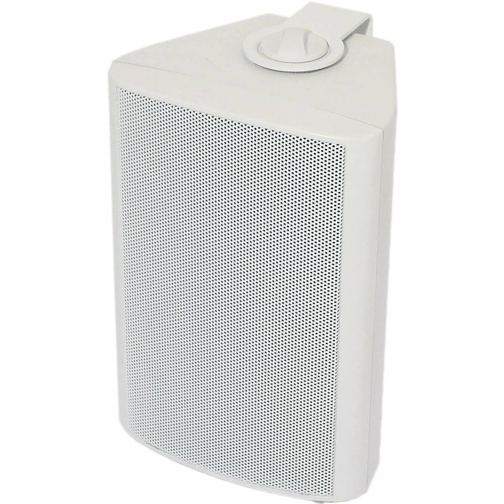 Visaton 50310 Lautsprecher WB 10, 100V+8 Ohm weiss