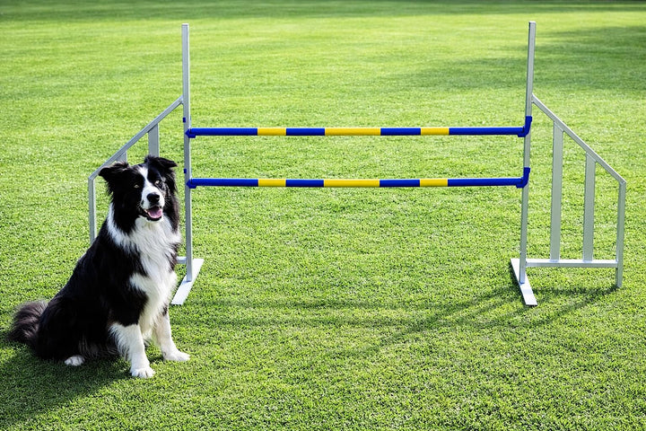 Agility ALU-Hürde für Hunde Profi-Training-Set FCI konform - Agilität Fitness für Ihren Hund - Hunde