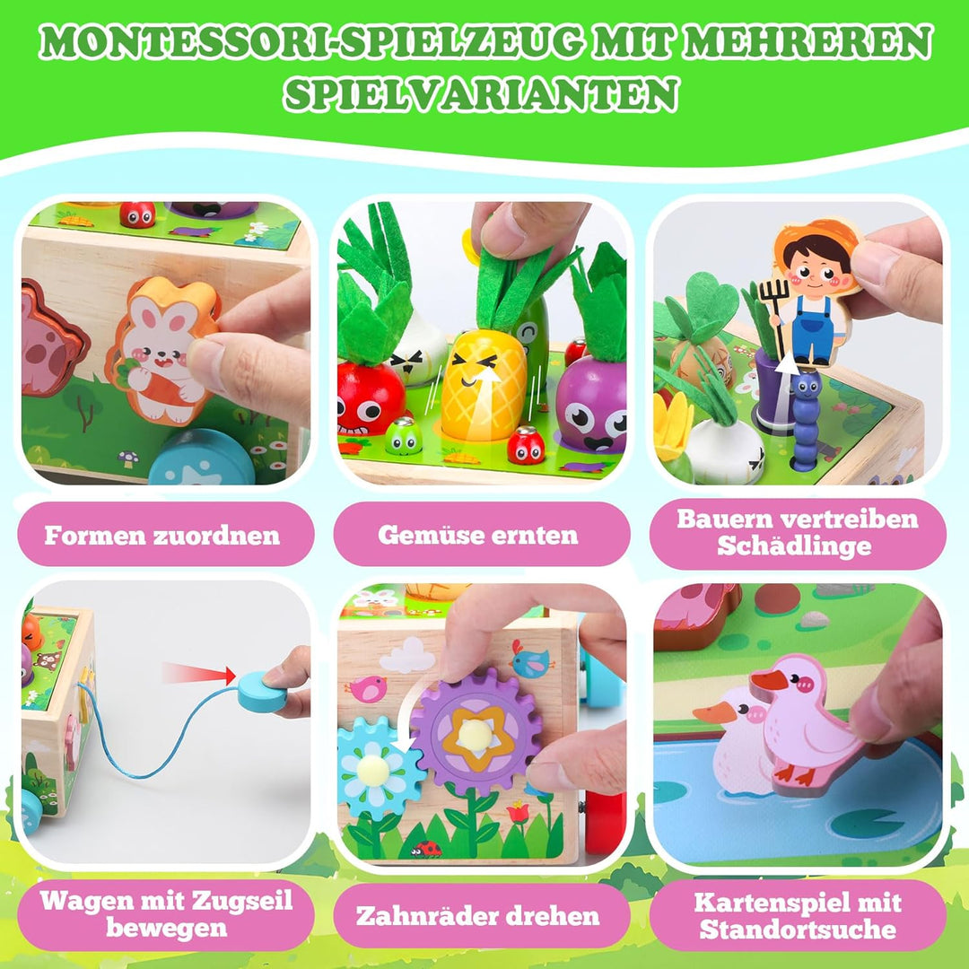 Tooysea Montessori Spielzeug ab 1 2 3 Jahr, Montessori Spielzeug Baby mit Landkarte, Karotten Stecks
