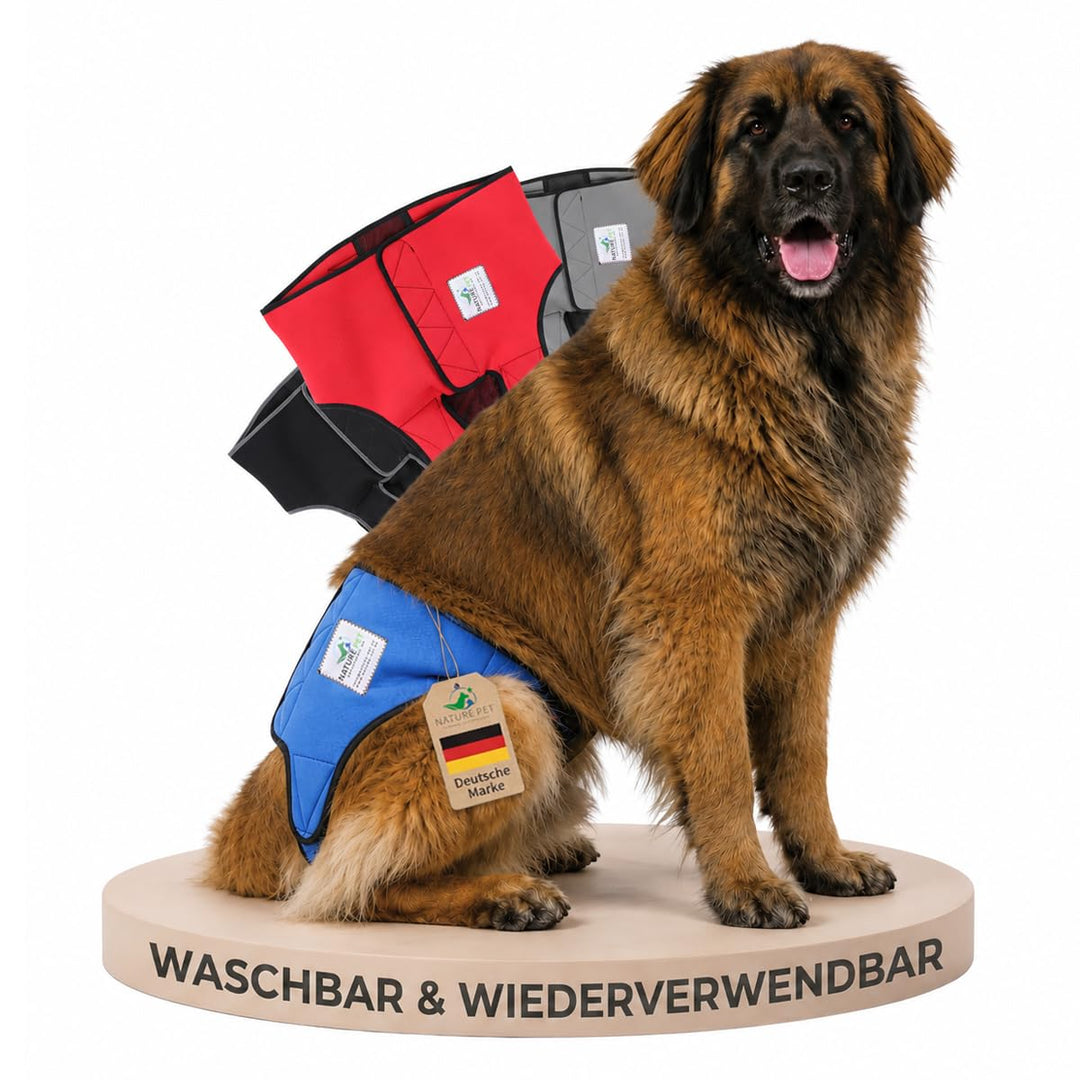 Läufigkeitshose für Hündinnen 2.0 - Hundewindeln aus hochwertigem perforiertem Neopren für einen opt