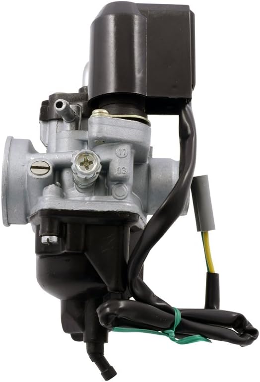 Vergaser 12mm PHVA PHVN inkl Choke für Gilera Ice 50