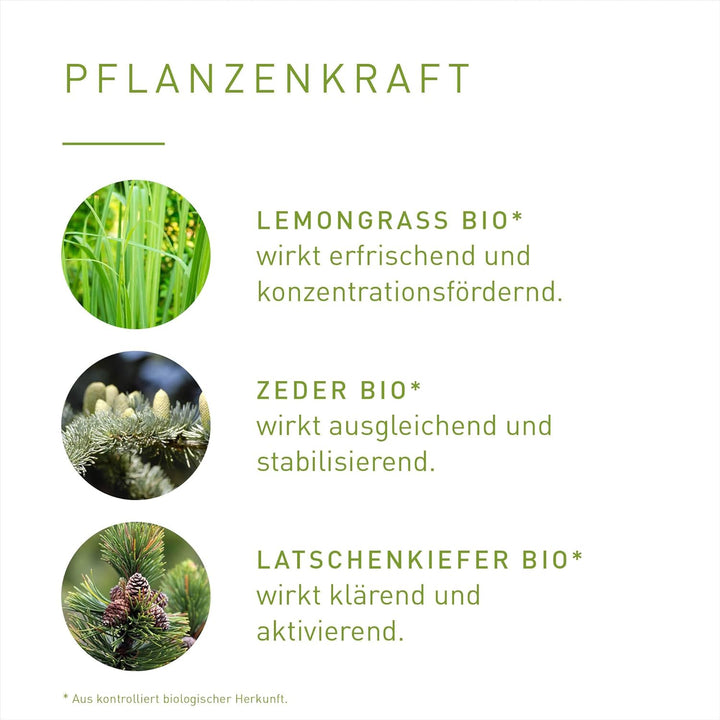 PRIMAVERA Energiequelle Aroma Sauna bio 100 ml – Saunaöl, Aromatherapie – frisch-harziger Duft – bel