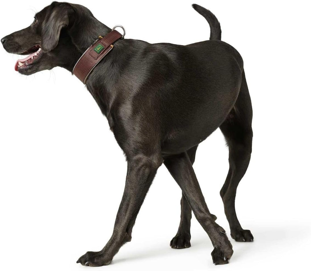 HUNTER Hundehalsband NEOPREN REFLECT, Farbe: braun/caramel, weiche Polsterung, reflektierend, besond