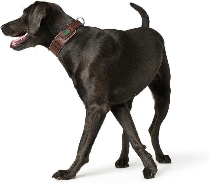 HUNTER Hundehalsband NEOPREN REFLECT, Farbe: braun/caramel, weiche Polsterung, reflektierend, besond