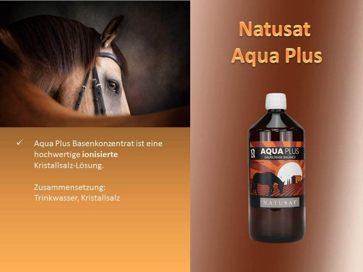Natusat Aqua Plus - Pferdemuskeln, Pferdeleistung, Säure-Basenhaushalt Pferde und Hunde, 1000 ml