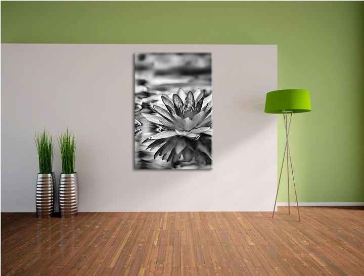 Pixxprint Anmutige Seerose mit Blättern als Leinwandbild/Grösse: 100x70 cm/Wandbild/Kunstdruck/ferti