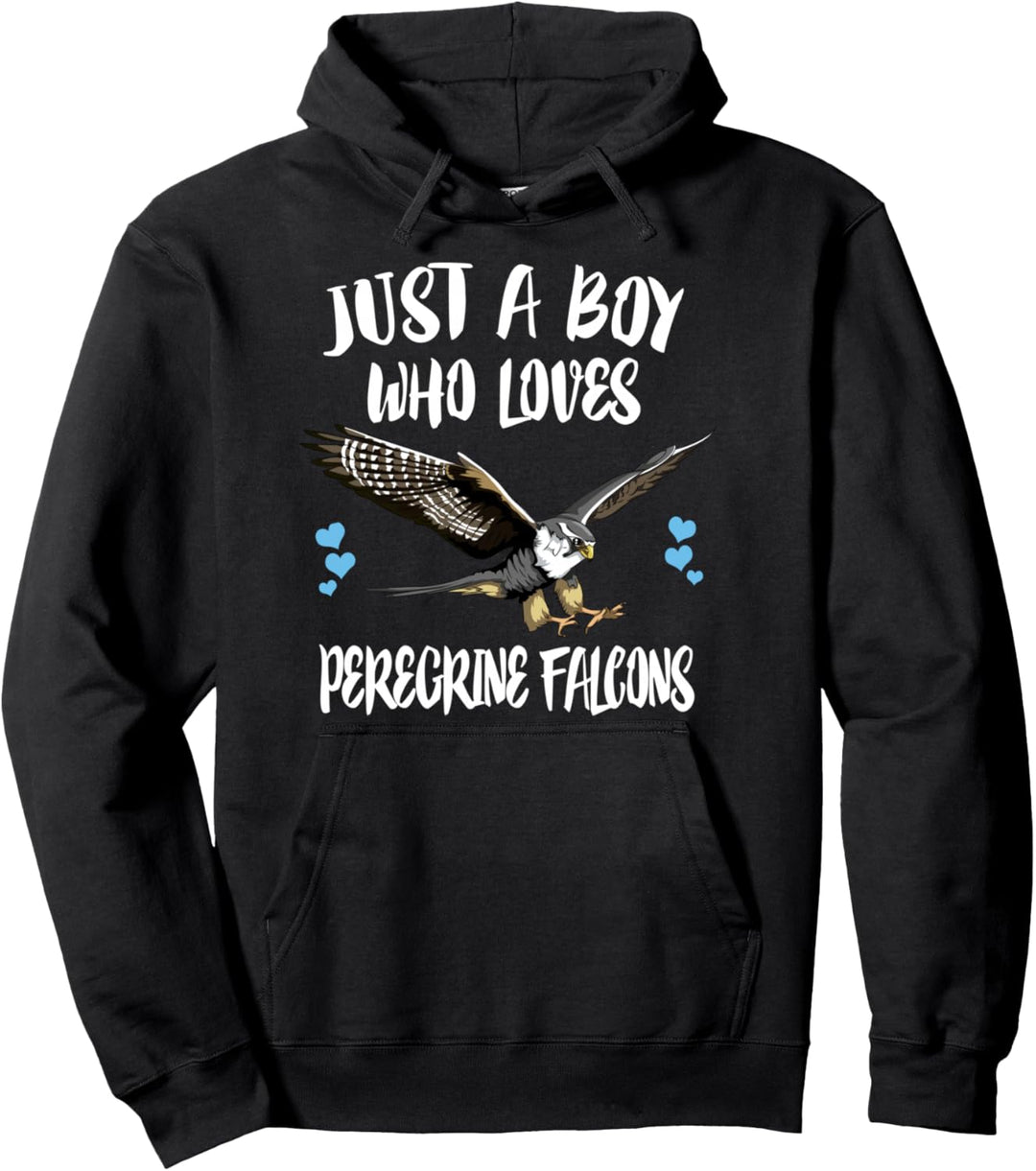 Just A Boy Who Loves Peregrine Falcons Birds Pullover Hoodie