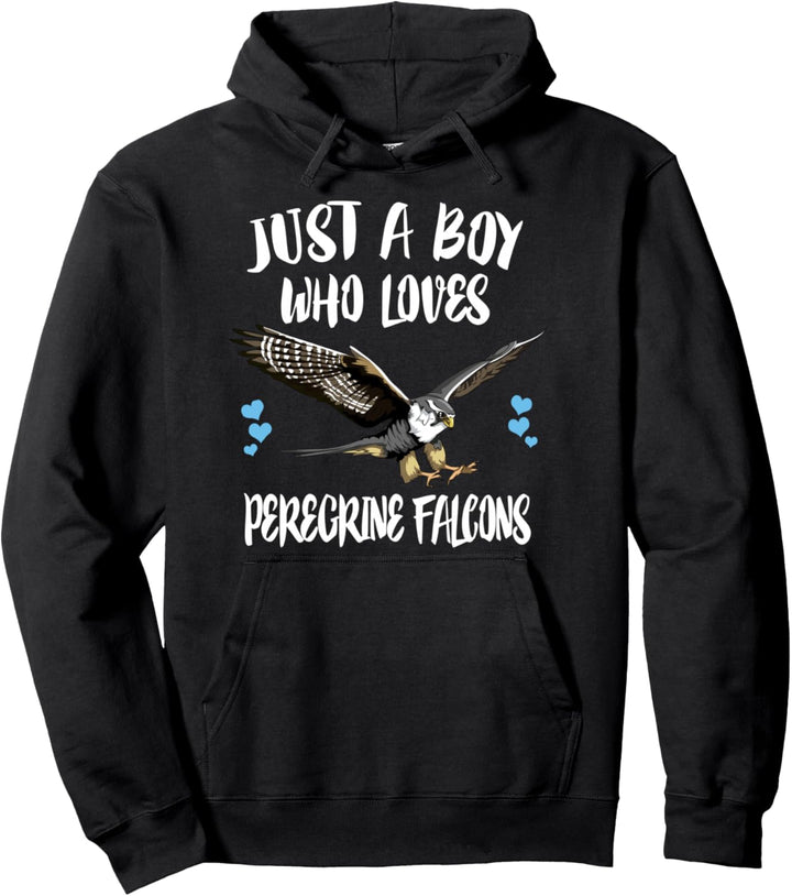 Just A Boy Who Loves Peregrine Falcons Birds Pullover Hoodie