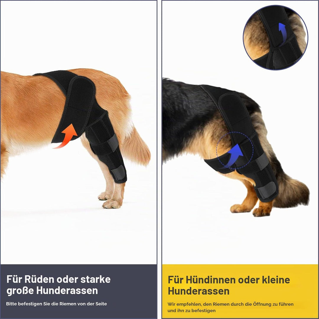KINBOM Hunde Kniebandage Hinterbein, Hunde Hinterbein Bandage Hunde-ACL-Klammer Hinterbein Hunde-Kni