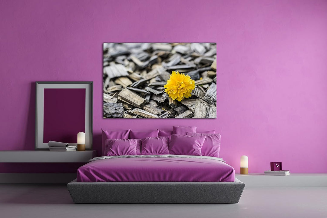 deyoli gelbe Blume auf Holz im Format: 80x60 als Leinwandbild, Motiv fertig gerahmt auf Echtholzrahm