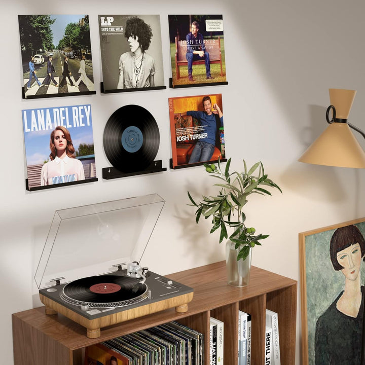 HIIMIEI Vinyl Schallplatten Wandhalterung 6 er für Platten und Fotos, 30,5 x 4,3 x 4,5 cm Schallplat