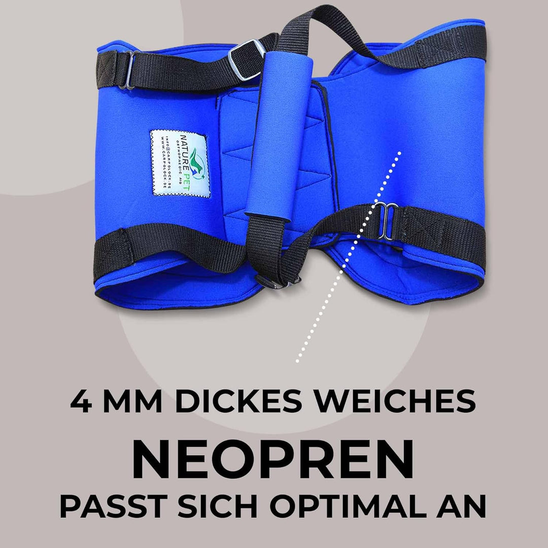 Tragehilfe Hund hinten - Ideal für ältere, kranke oder operierte Hunde - Diese Treppenhilfe für Hund