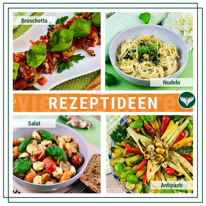 Azafran BIO Basilikum getrocknet und gerebelt auch als Tee 1kg 1 kg (1er Pack), 1 kg (1er Pack)