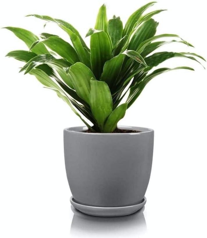KOTARBAU® 2er Set Keramik Blumentopf Übertopf für Blumen Pflanzen ⌀ 13 cm mit Tropfschale Grau, Grau