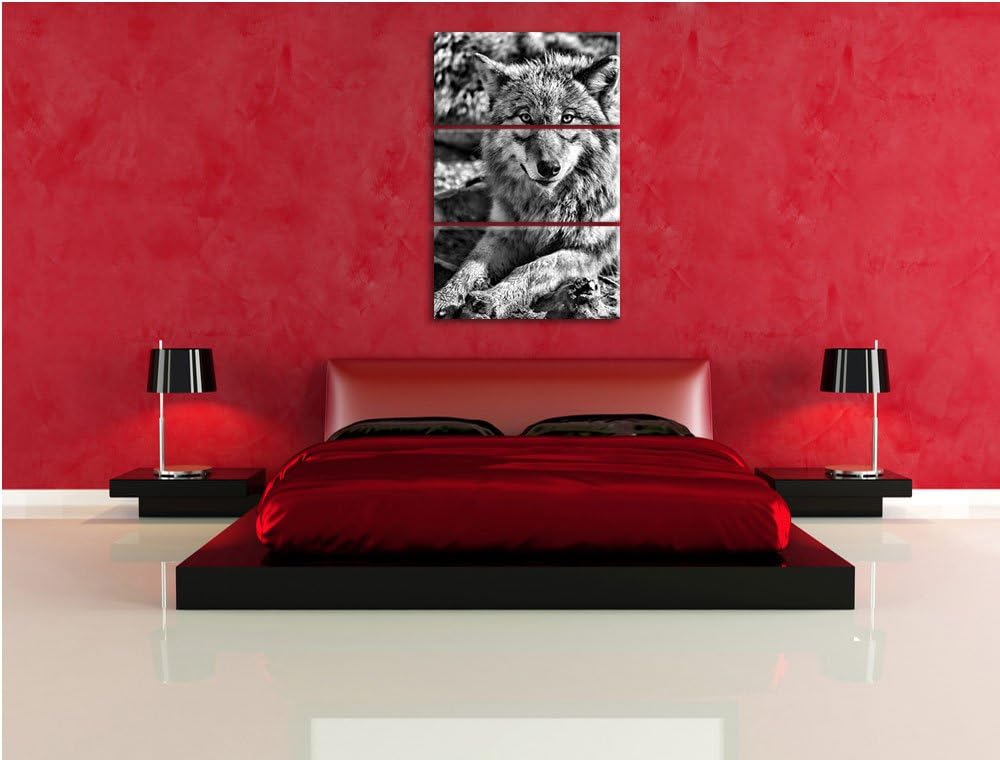 Pixxprint Monocrome, aufschauender Wolf 3-Teiler Leinwandbild 120x80 Bild auf Leinwand