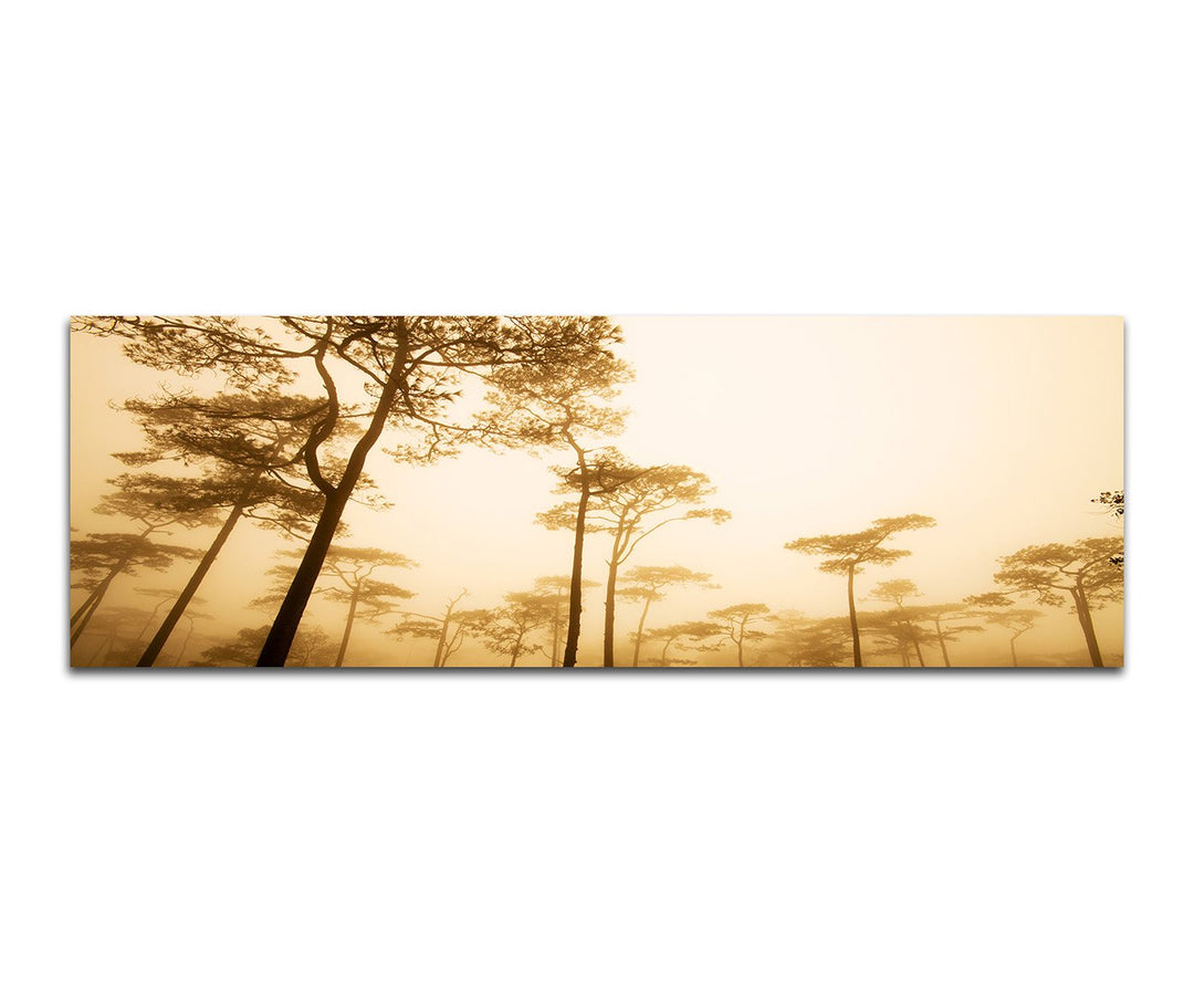 Paul Sinus Art Panoramabild auf Leinwand und Keilrahmen 150x50cm Thailand Nationalpark Bäume Dunst N