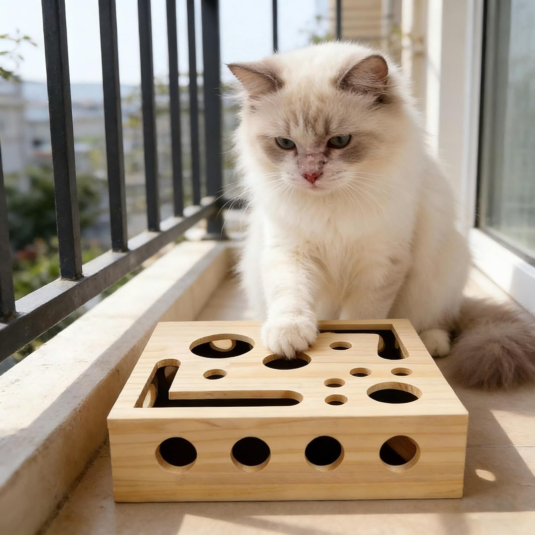 Katzen Krallenfeiler Spielbox, Krallenpflege Board & Interaktives Kratzspielzeug für Katzen, 30x25 c