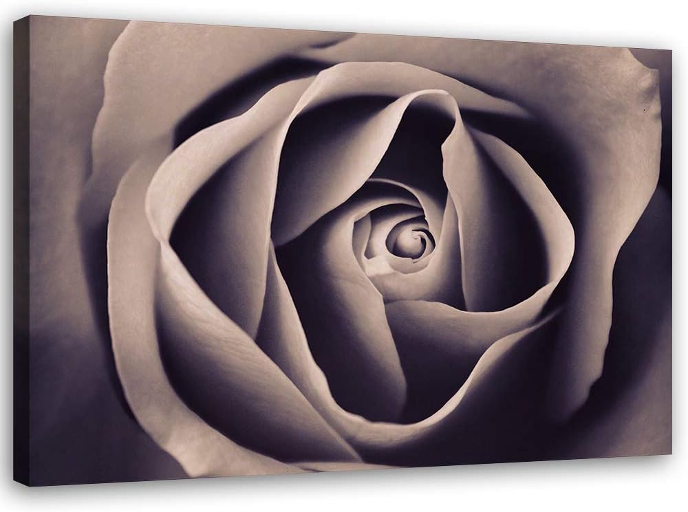 Feeby Bild auf Leinwand Rose Kunstdruck modern Blume Grau 80x60 cm M14549 80x60 cm, M14549 80x60 cm