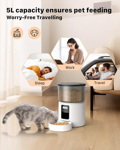 BEMOONY 5L Futterautomat Katze, Katzenfutter Automat mit Programmierbarem Timer, 1-6 Mahlzeiten pro