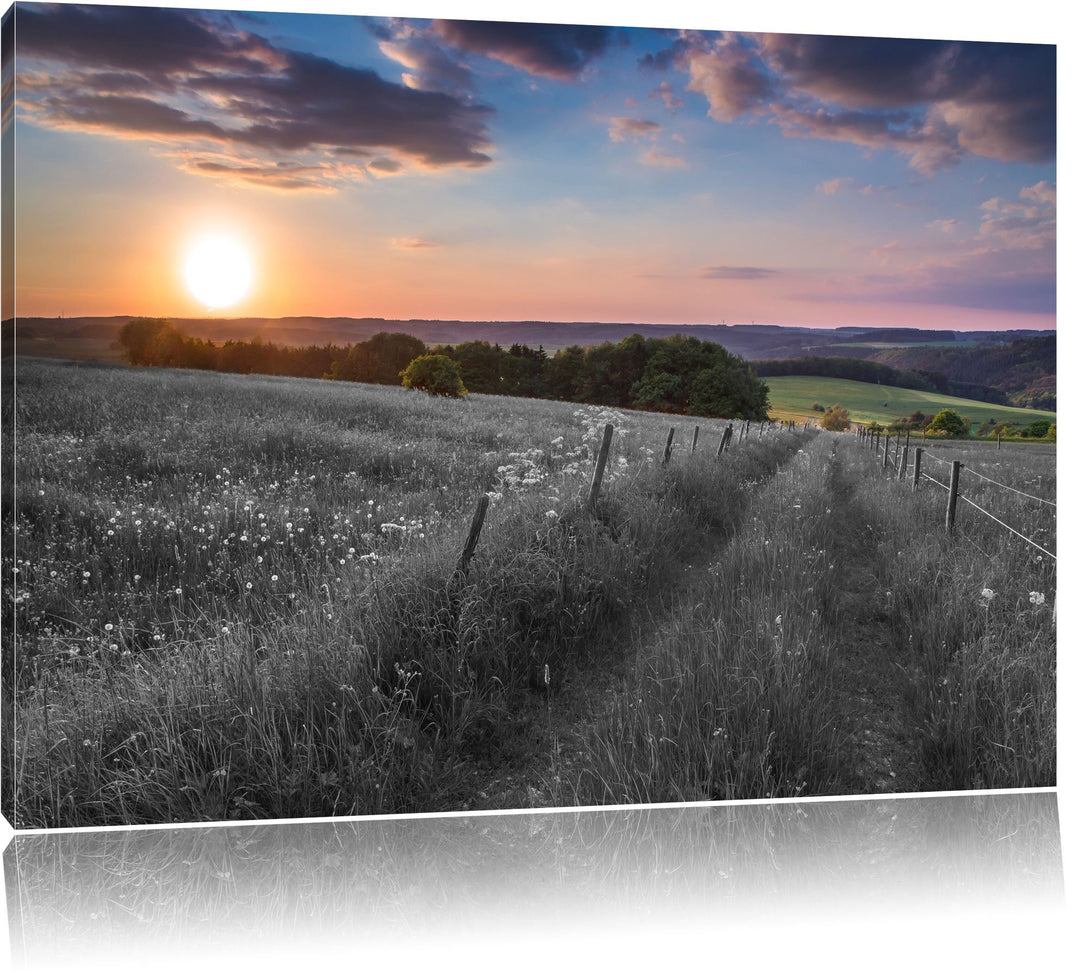 Pixxprint Bergwiese im Sonnenaufgang / 100x70cm Leinwandbild bespannt auf Holzrahmen/Wandbild Kunstd