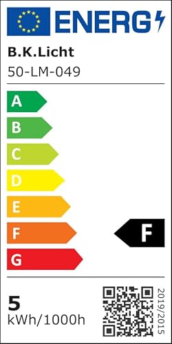 B.K.Licht - 6er Set Einbaustrahler LED schwenkbar, warmweisse Lichtfarbe, Lochdurchmesser 68mm, flac