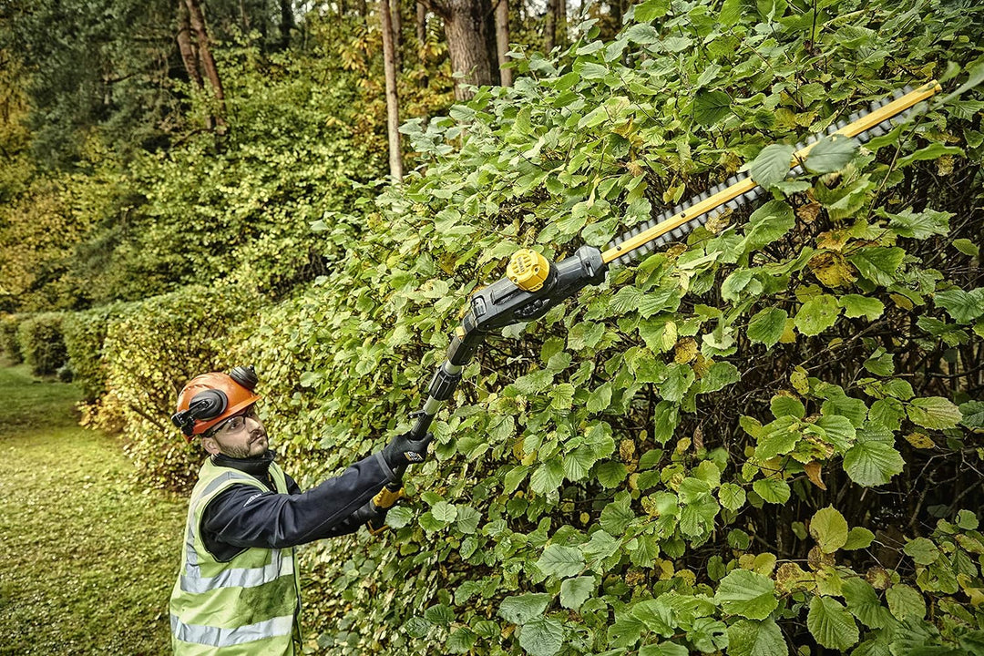 DEWALT Cortasetos de pÚrtiga XR 18V con 1, Multicolor, Avec batterie Avec batterie Einzigartig, Avec