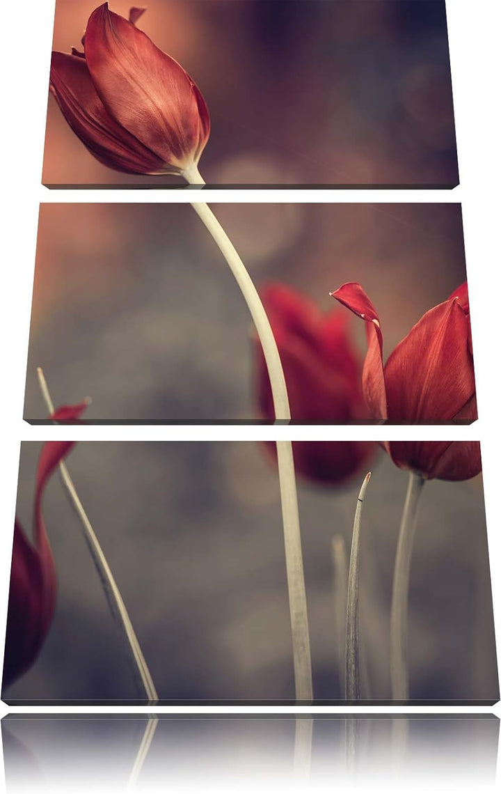 Pixxprint Tulpen im Abendlicht / 3-Teilig/Gesamtmass 120cm Leinwandbild bespannt auf Holzrahmen/Wand