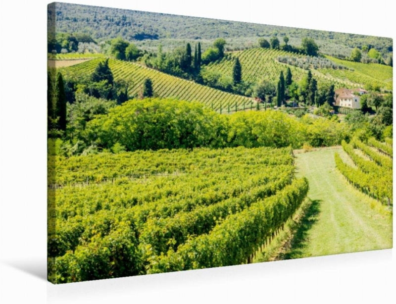 Premium Textil-Leinwand 75 x 50 cm Quer-Format Weinberg bei San Gimignano | Wandbild, HD-Bild auf Ke