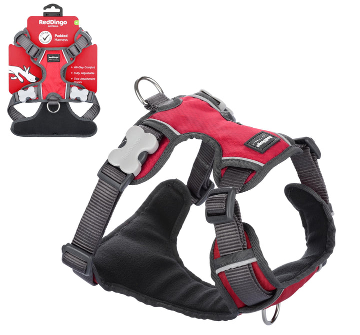 Red Dingo DH-PH-RE-SM Hundegeschirr, gepolstert, Grösse S, Rot rot Small, rot Small