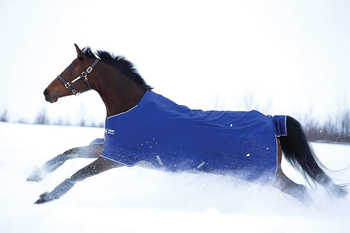 Horseware Amigo Hero 900 T/O Med 200g Turnout Decke wasserdicht Atlantic Blue/AB Ivory 115 cm / 5`6,