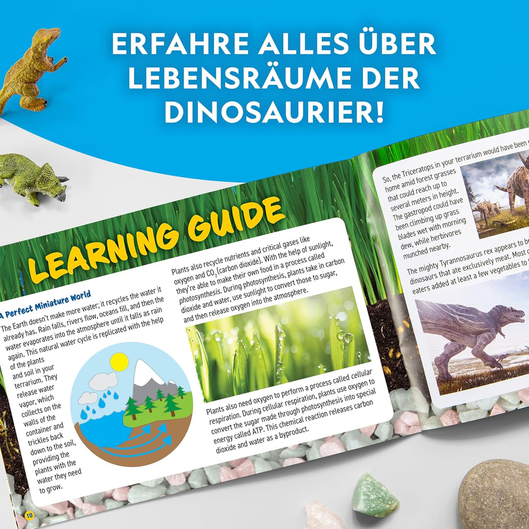 National Geographic Dino-Terrarien-Set mit Beleuchtung – Baue EIN Dinosaurier-Habitat mit echten Pfl